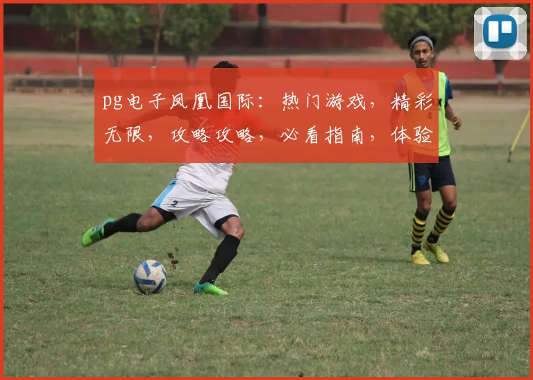 pg电子凤凰国际：热门游戏，精彩无限，攻略攻略，必看指南，体验非凡