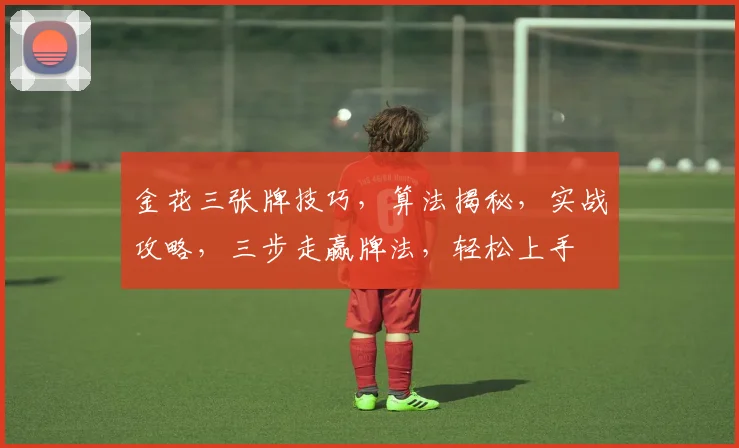 金花三张牌技巧，算法揭秘，实战攻略，三步走赢牌法，轻松上手