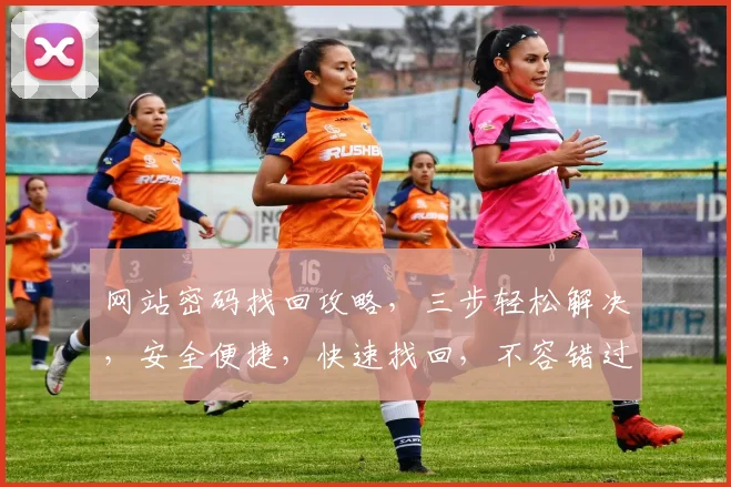 网站密码找回攻略，三步轻松解决，安全便捷，快速找回，不容错过