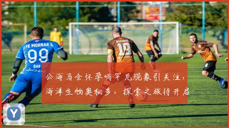 公海马会怀孕吗罕见现象引关注，海洋生物奥秘多，探索之旅待开启，